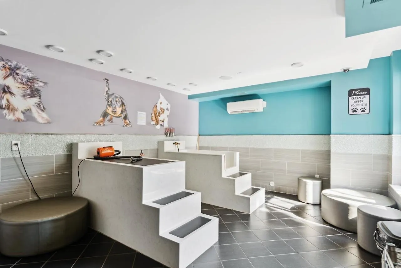Kasa Dilworth Charlotte Aparthotel